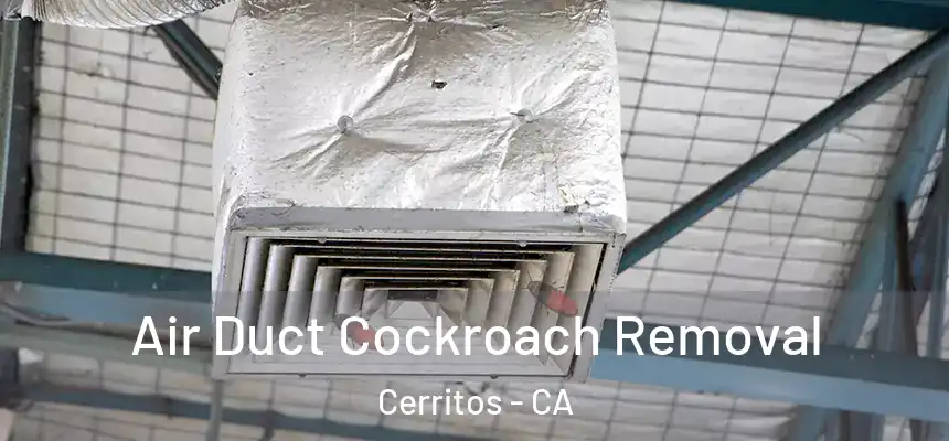 Air Duct Cockroach Removal Cerritos - CA