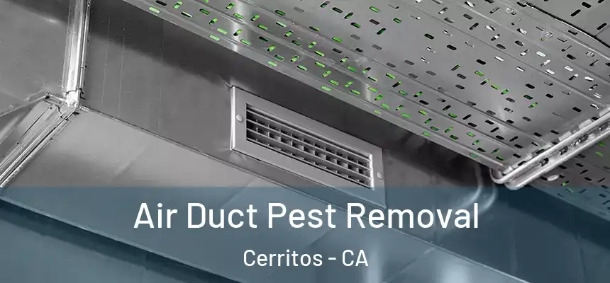Air Duct Pest Removal Cerritos - CA