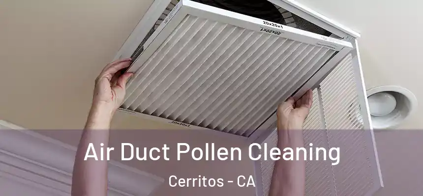 Air Duct Pollen Cleaning Cerritos - CA