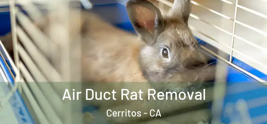 Air Duct Rat Removal Cerritos - CA
