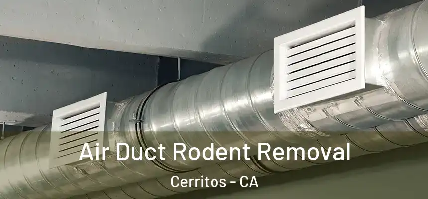 Air Duct Rodent Removal Cerritos - CA