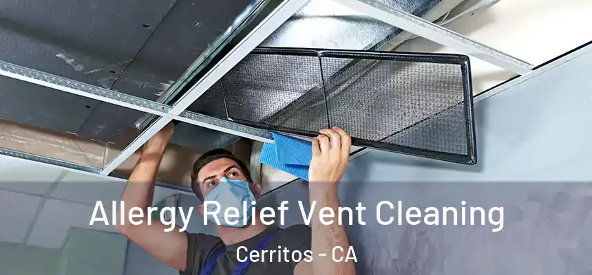Allergy Relief Vent Cleaning Cerritos - CA
