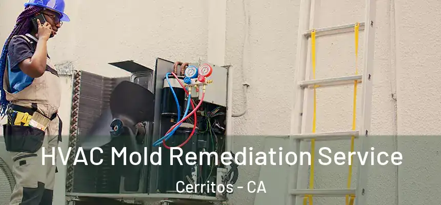 HVAC Mold Remediation Service Cerritos - CA