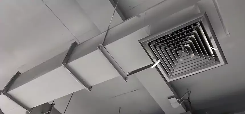 Our Pest Removal From Ducts Services in Cerritos, CA