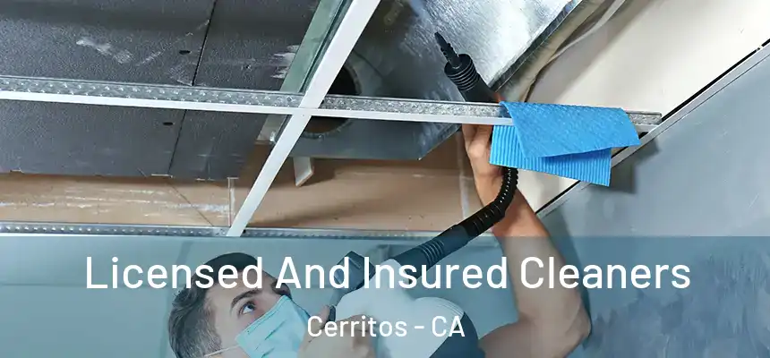  Licensed And Insured Cleaners Cerritos - CA