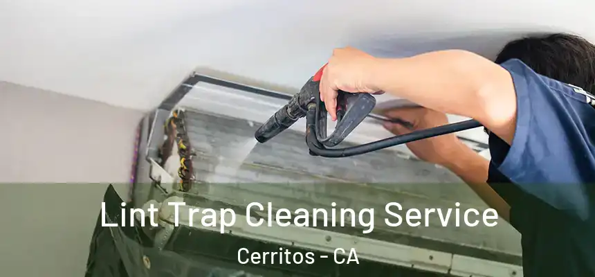 Lint Trap Cleaning Service Cerritos - CA