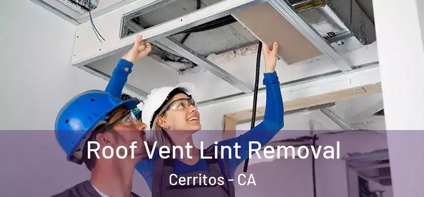 Roof Vent Lint Removal Cerritos - CA