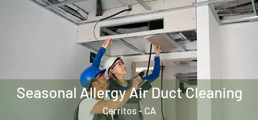  Seasonal Allergy Air Duct Cleaning Cerritos - CA