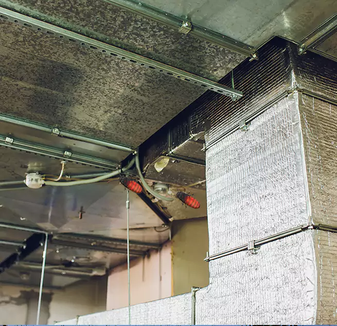 Why Homeowners & Businesses Trust Us in Cerritos, CA?