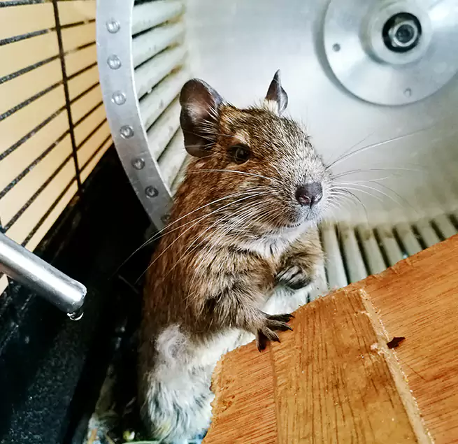 Why Homeowners & Businesses Trust Us Cerritos, CA