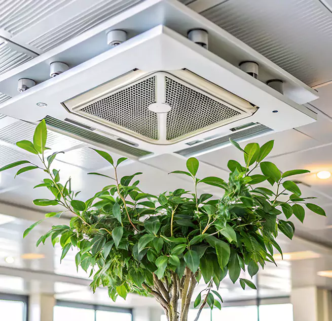 Why Homeowners & Businesses Trust Us in Cerritos, CA