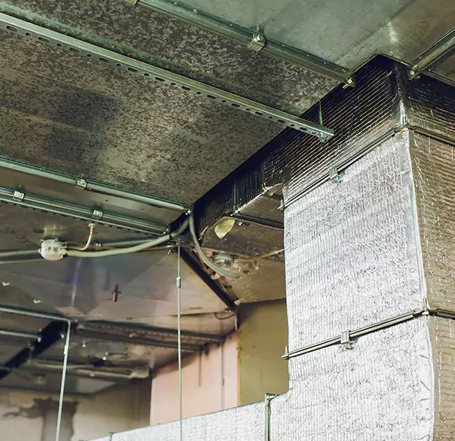 Why Homeowners & Businesses Trust Us in Cerritos, CA?